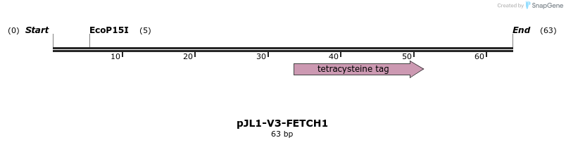 410619_map
