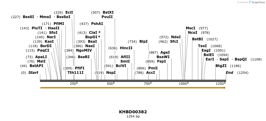 41062_map
