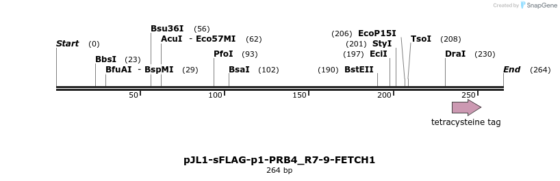 410623_map