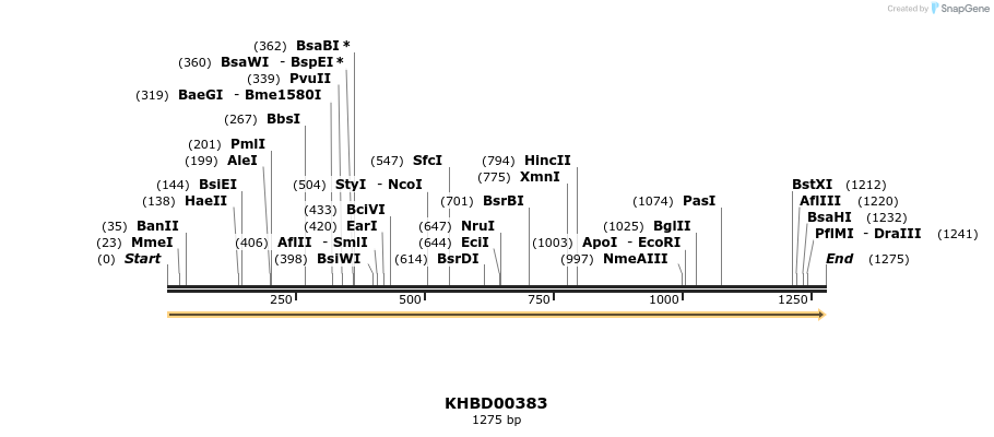 41063_map