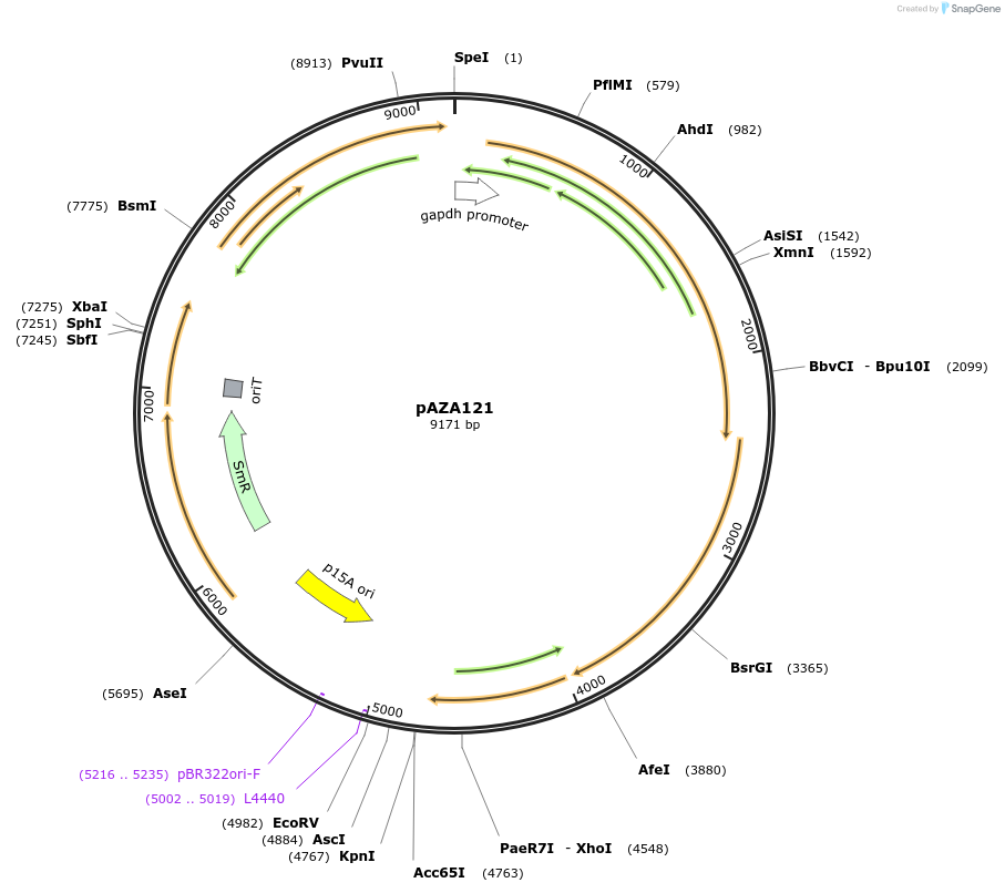 410640_map