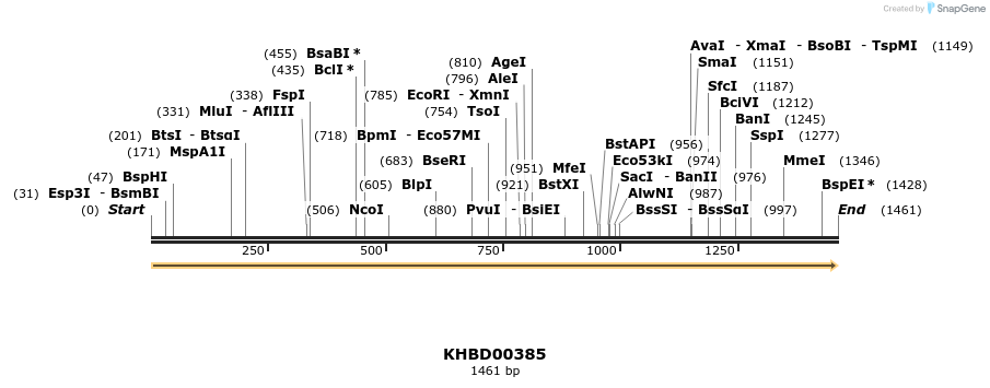 41065_map
