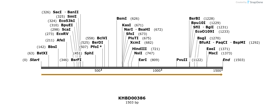 41066_map