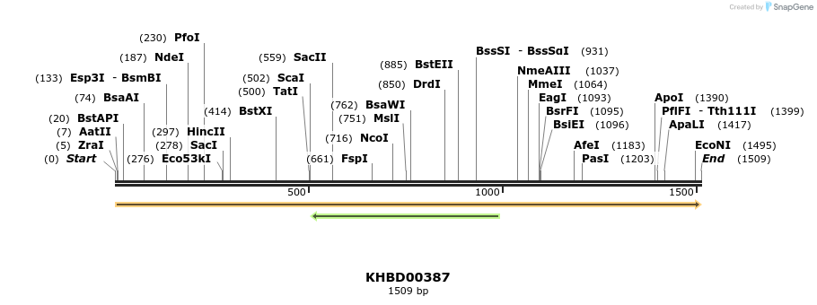41067_map