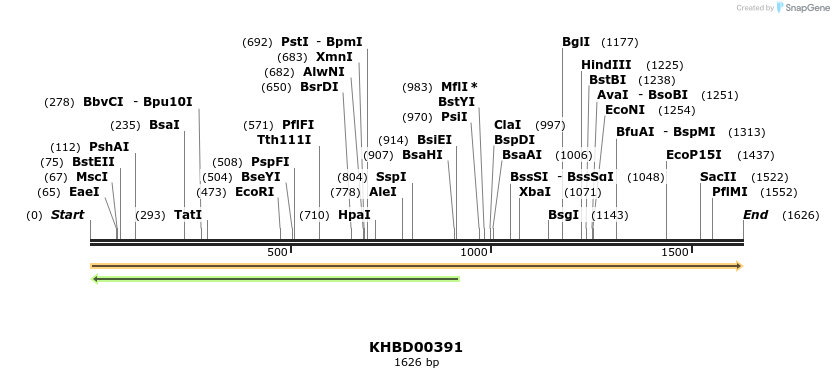 41070_map