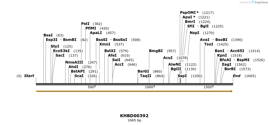 41071_map