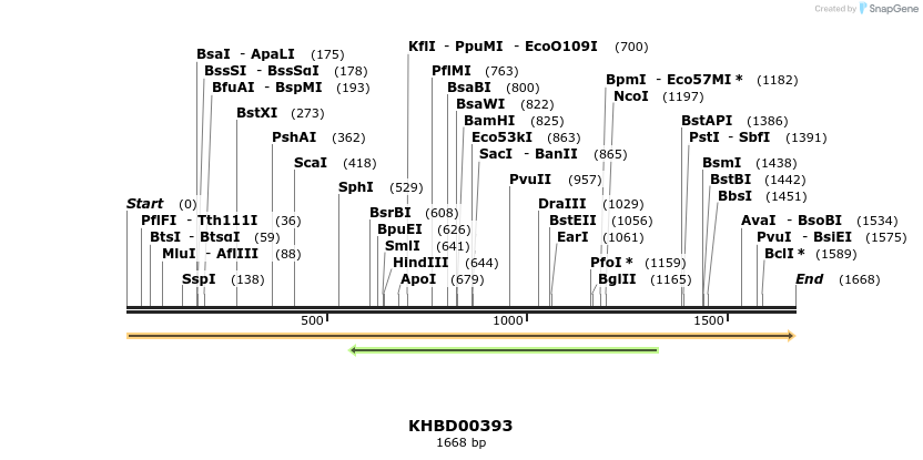 41072_map
