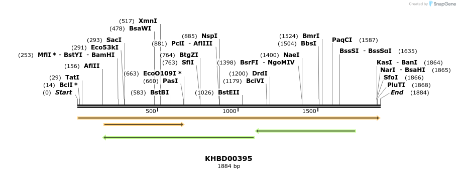 41073_map