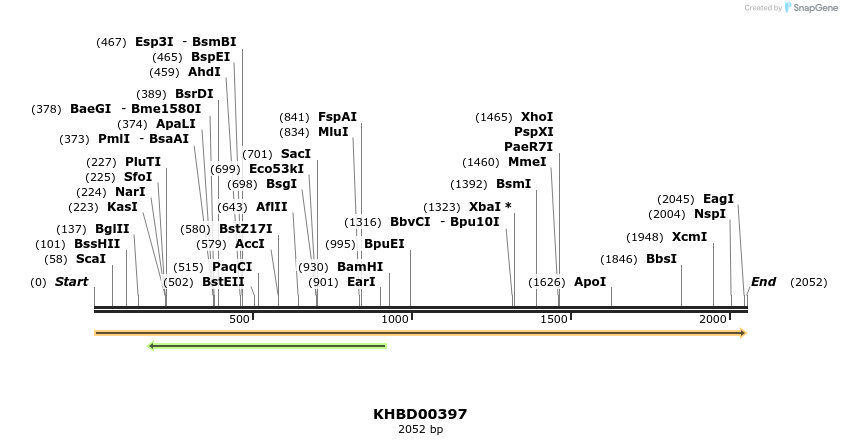 41075_map