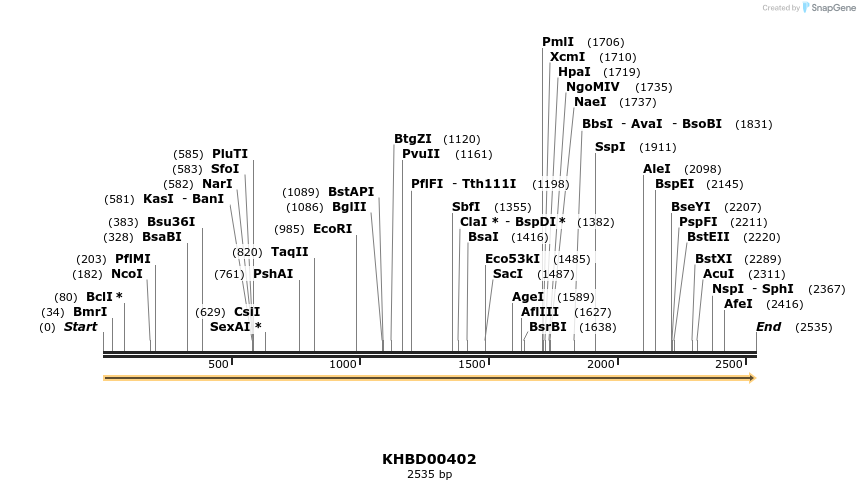 41079_map