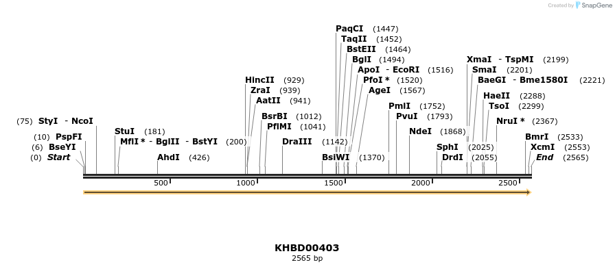 41080_map