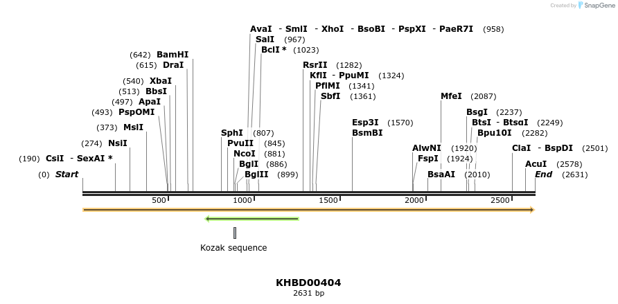 41081_map