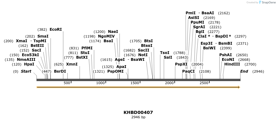 41083_map