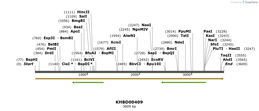 41084_map