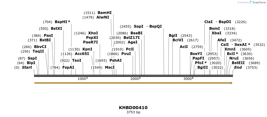 41085_map