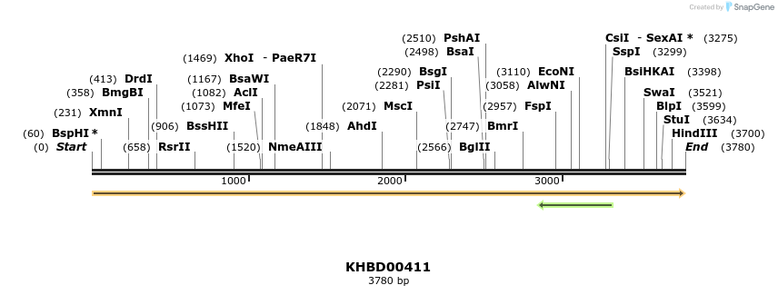 41086_map