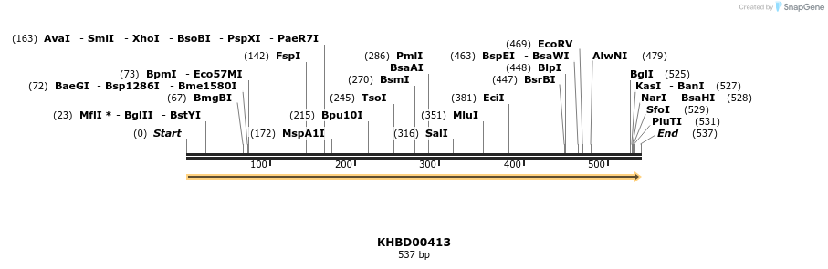 41087_map