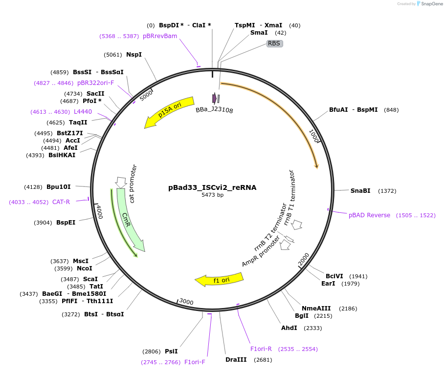 410873_map