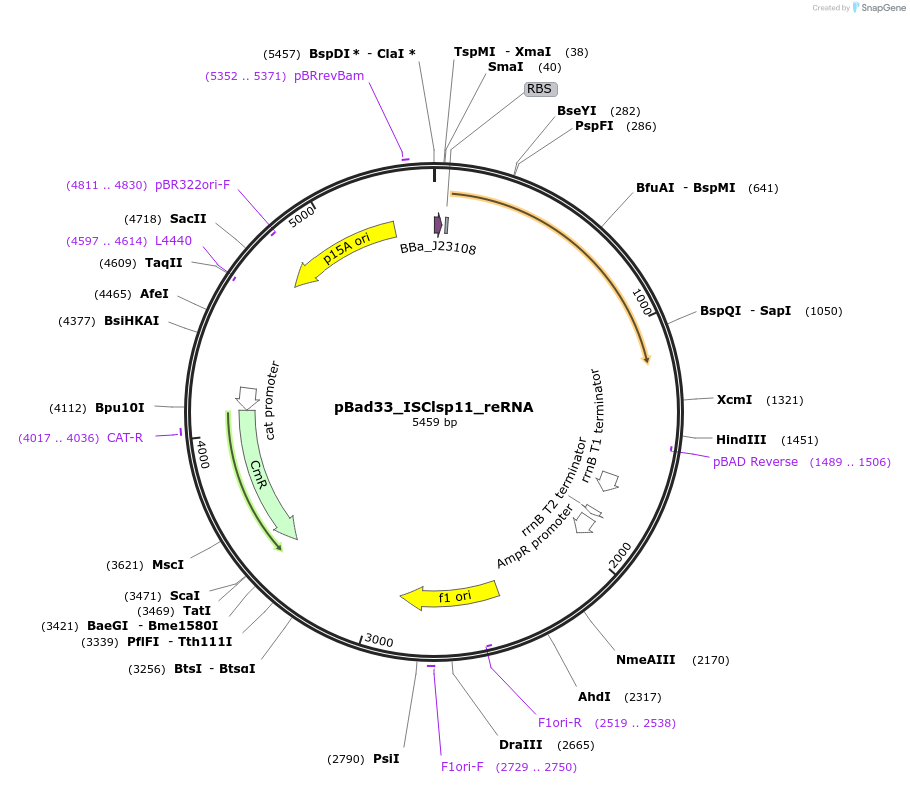 410874_map