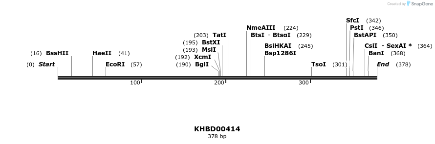 41088_map