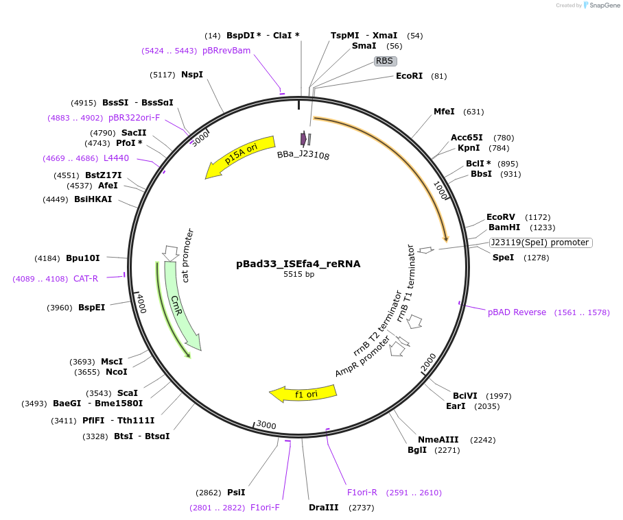 410882_map
