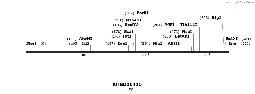 41089_map
