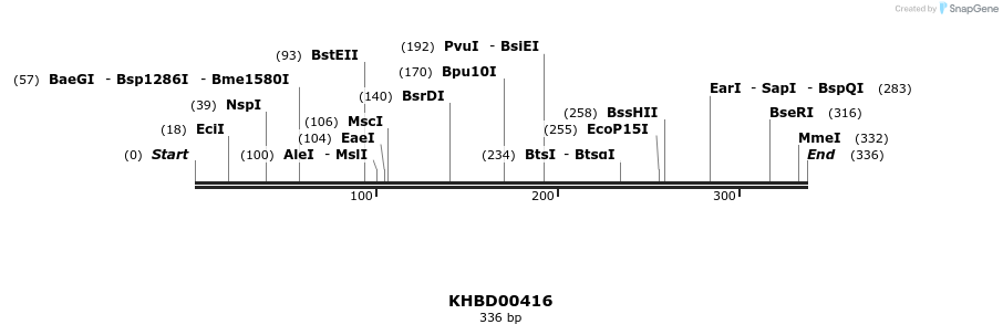 41090_map