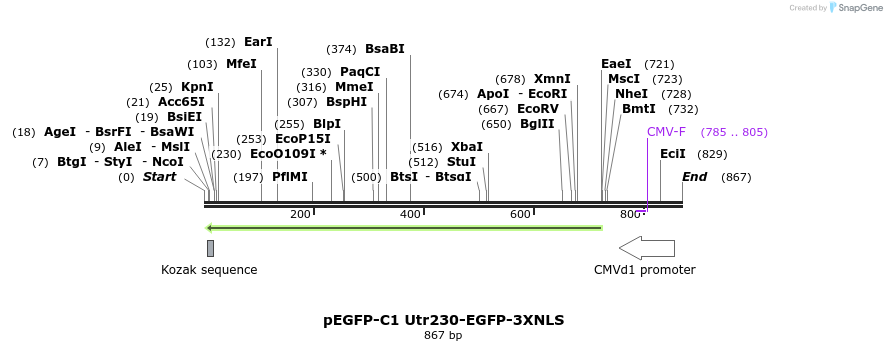 410901_map