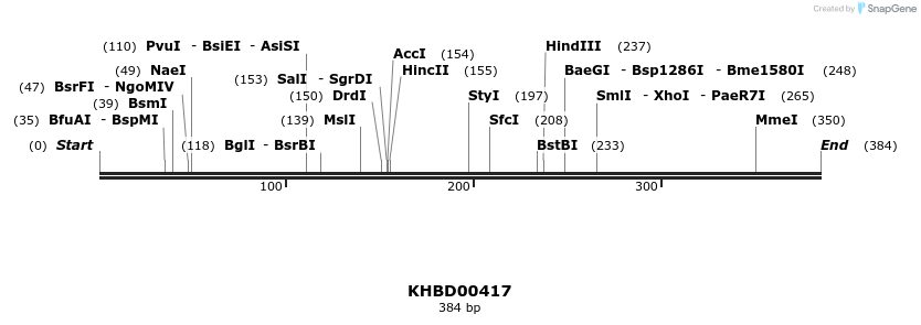 41091_map