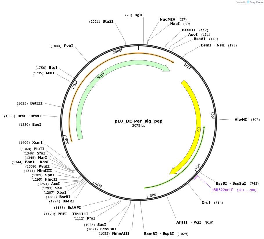 410912_map