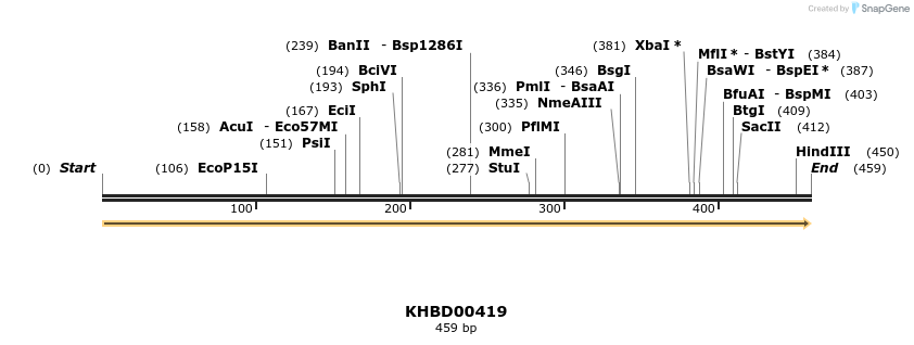 41093_map