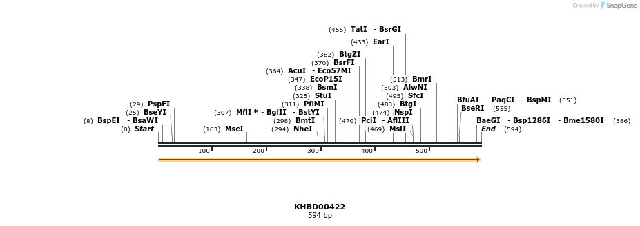 41095_map
