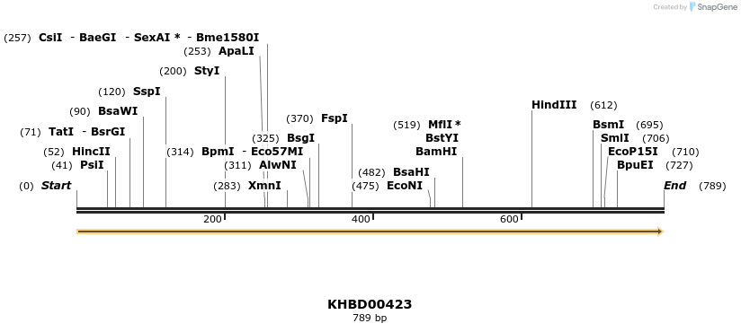 41096_map