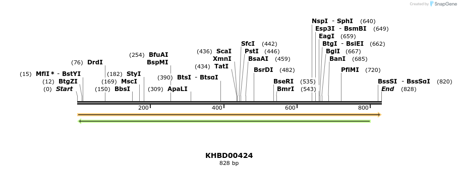 41097_map