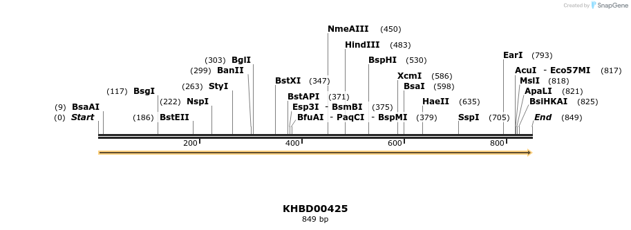 41098_map