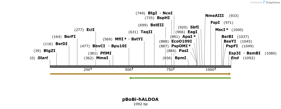 410995_map