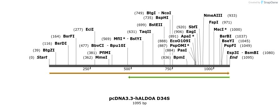 410999_map