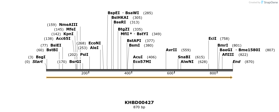 41100_map