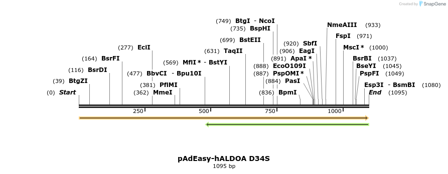 411002_map