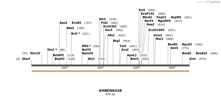 41101_map