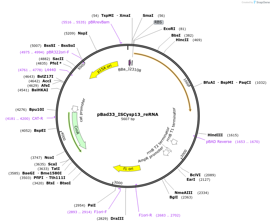 411018_map