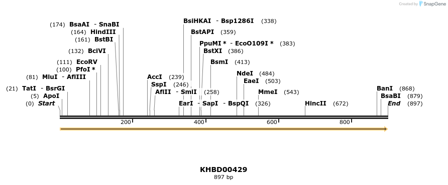 41102_map