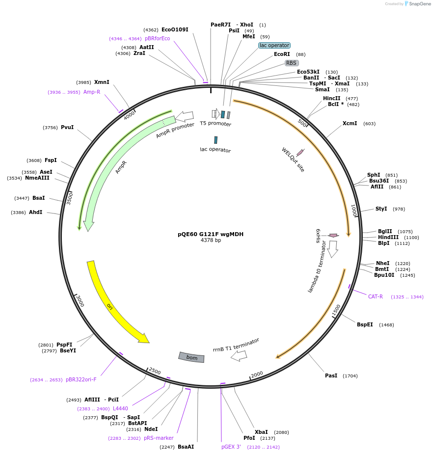 411021_map