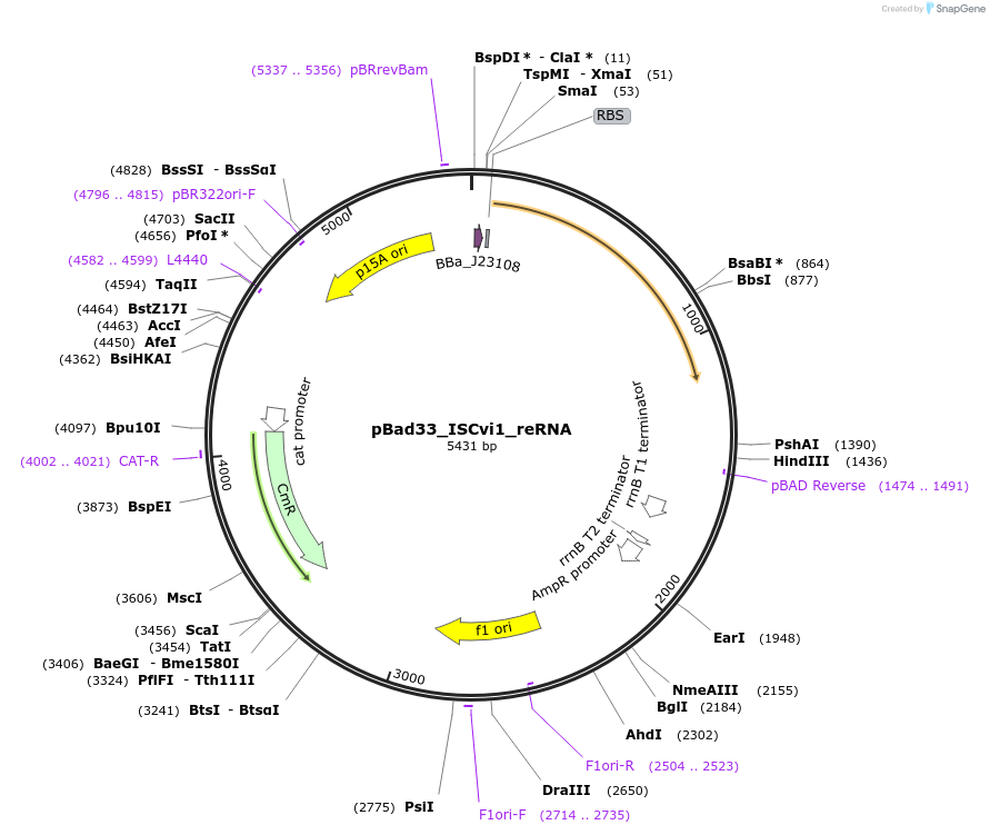 411023_map