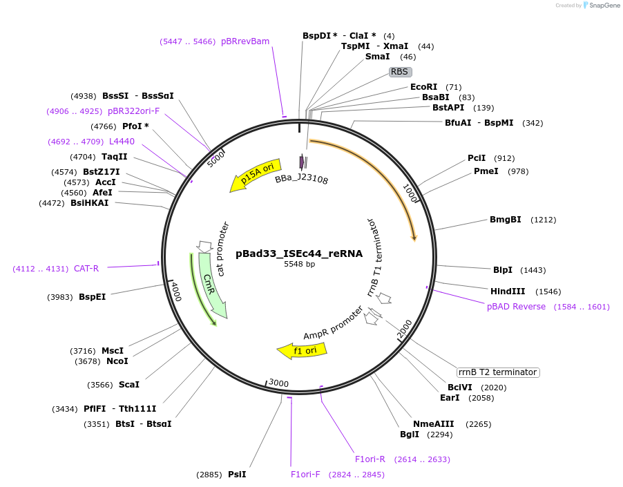 411026_map