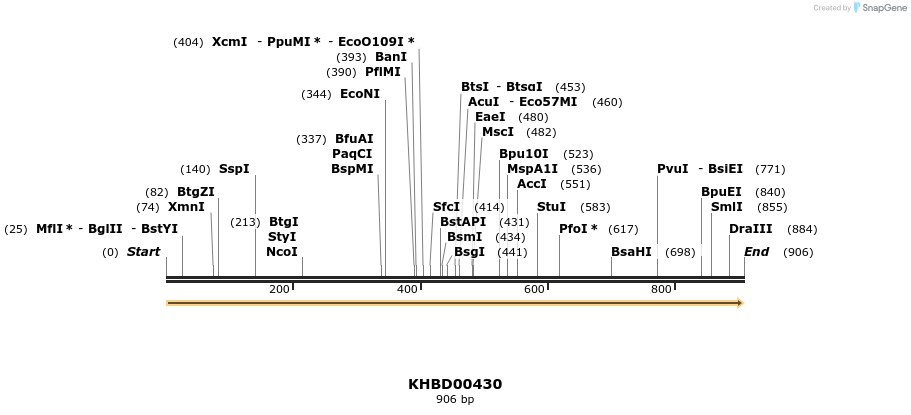 41103_map