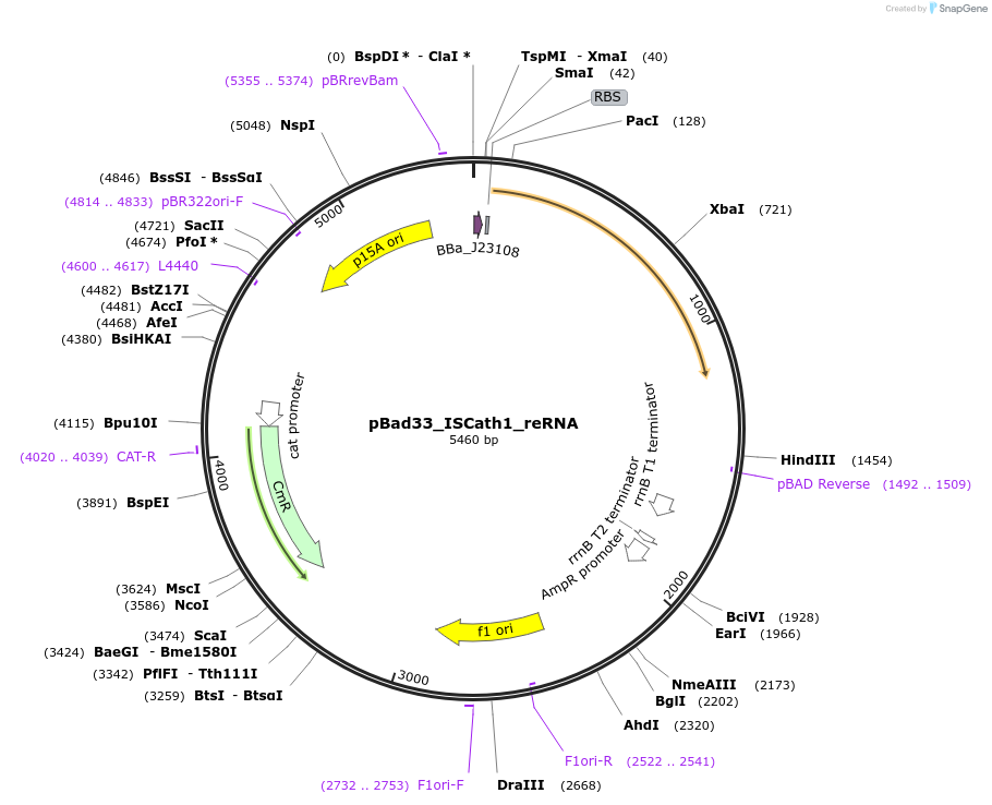 411032_map