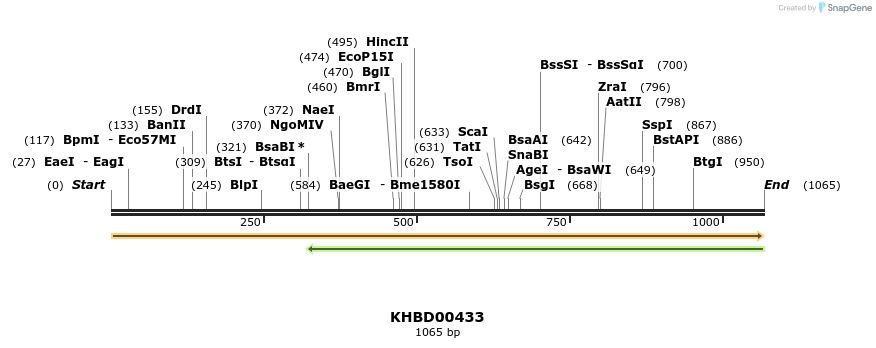 41105_map