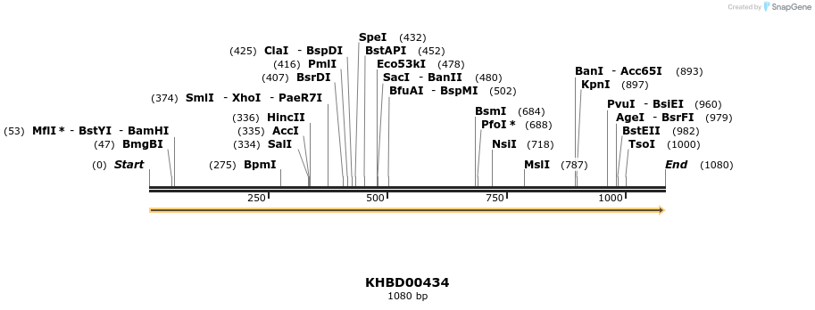 41106_map
