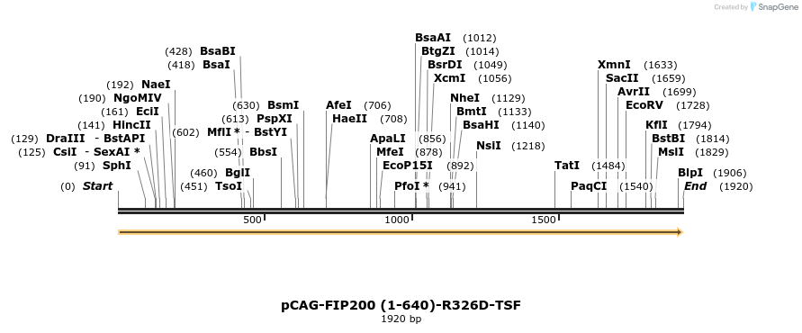 411070_map